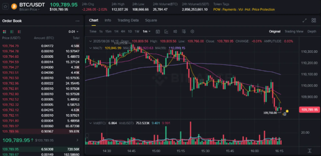 比特币跌破110，000美元